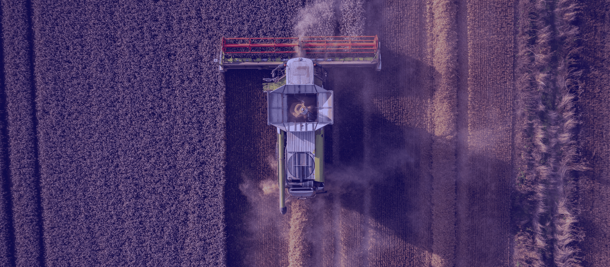 Key challenges for the agro-industry