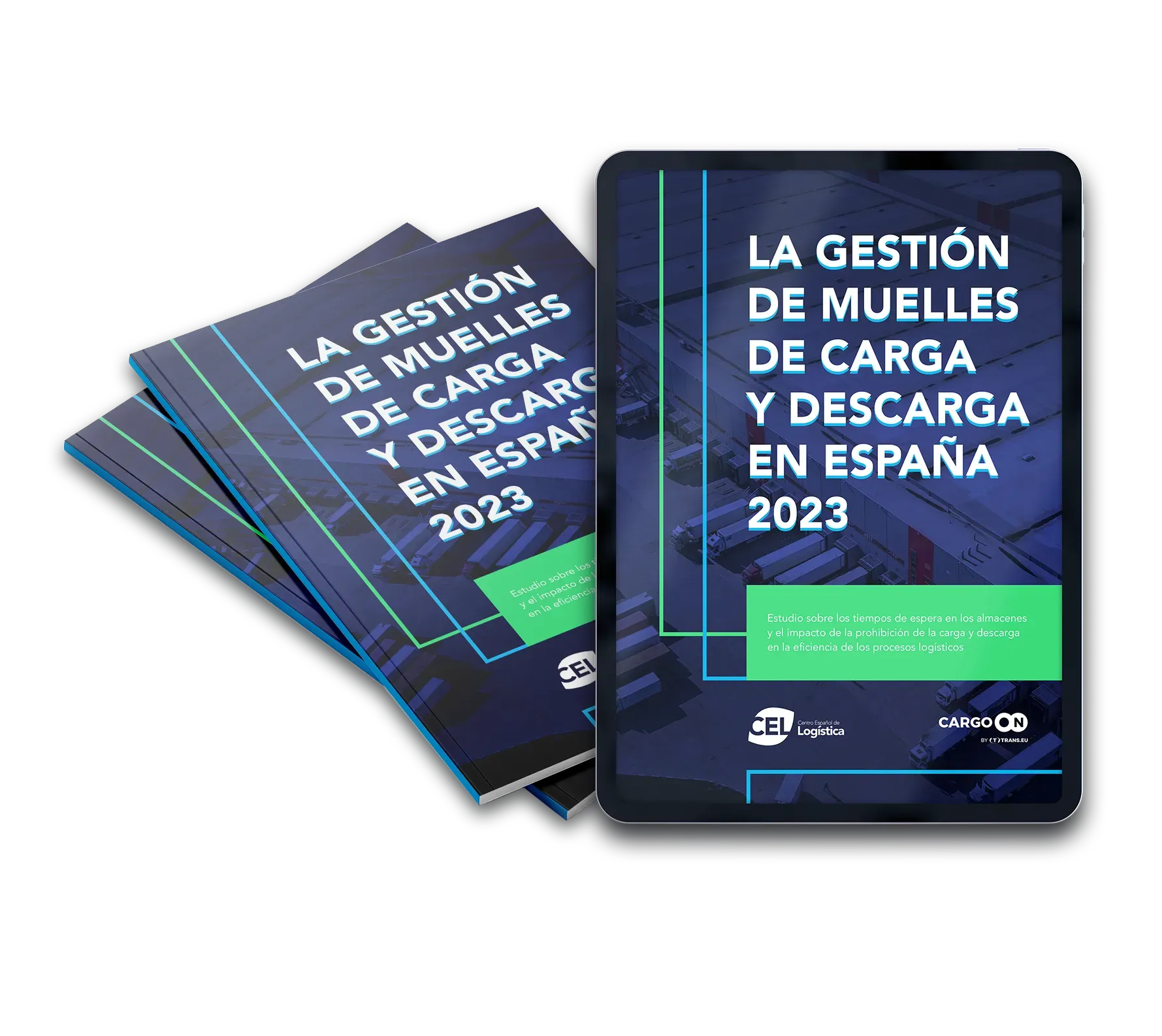 La Gestión de Muelles de Carga y Descarga en España