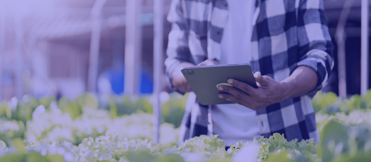 Smart farming: a revolution awaits the agro sector